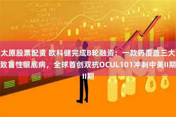 太原股票配资 欧科健完成B轮融资：一款药覆盖三大致盲性眼底病，全球首创双抗OCUL101冲刺中美II期